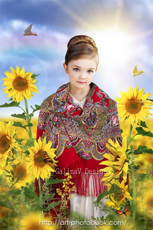 ������ � �����������