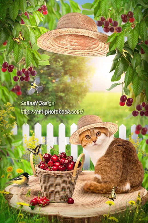 ������ �������� ���, ����