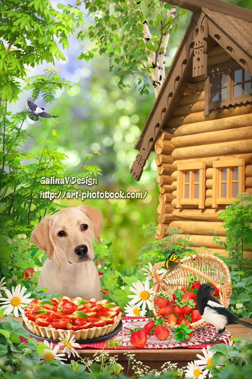 ������ ��������