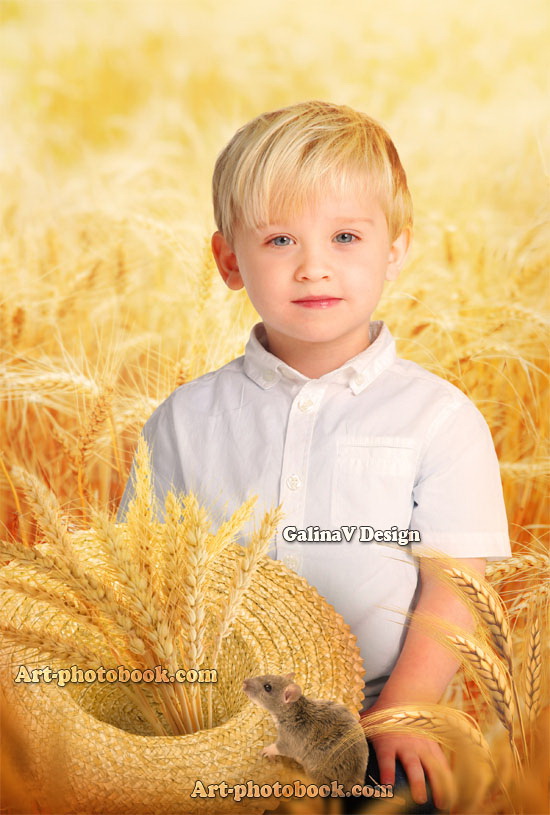 Коллаж Пшеница
